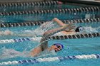 Swimming vs Bentley  Wheaton College Swimming vs Bentley. - Photo By: KEITH NORDSTROM : Wheaton, Swimming, Bentley